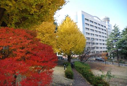 日本的麻省理工，风头更胜东京大学