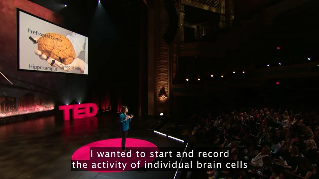 科普| 这个脑科学博士的“记忆力秘诀”，能让孩子受益一生！