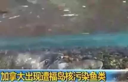 【时事热点】日本承认：112万吨核废水倒入太平洋！核辐射全球蔓延，或