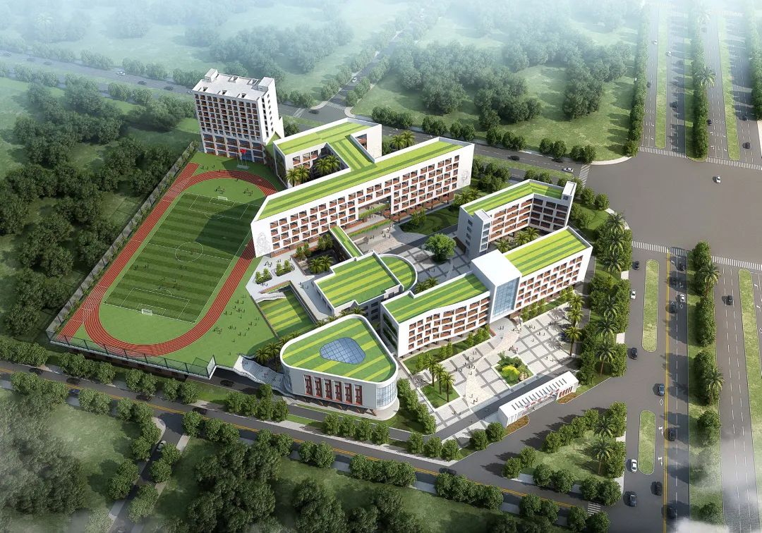 新增学位超1.5万个！深圳龙区将新改扩建11所学校，细节公布！