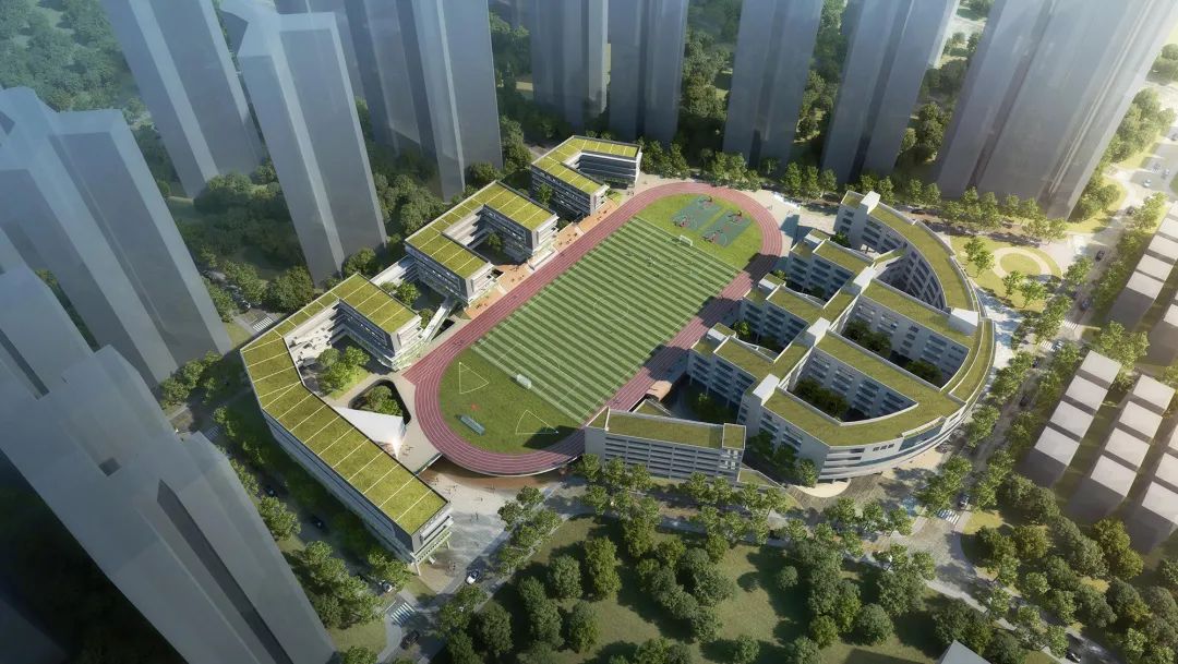 新增学位超1.5万个！深圳龙区将新改扩建11所学校，细节公布！