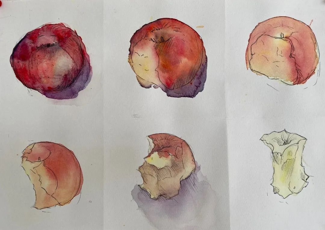 广州耀华国际教育学校学生上艺术课吃苹果——消失的苹果