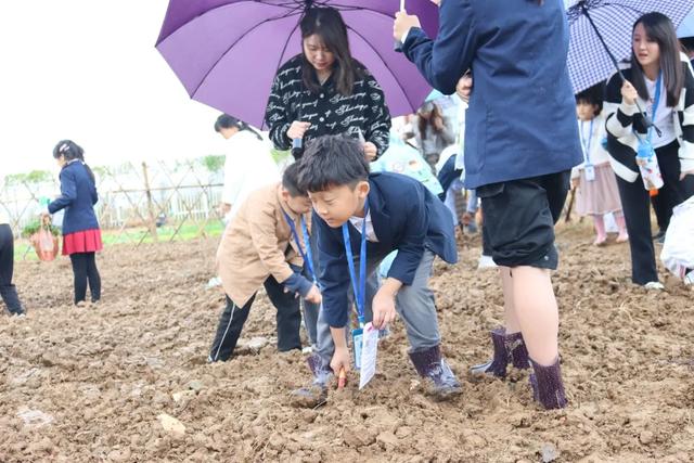 先行者｜力迈国际学校为学生打造了生态种植园