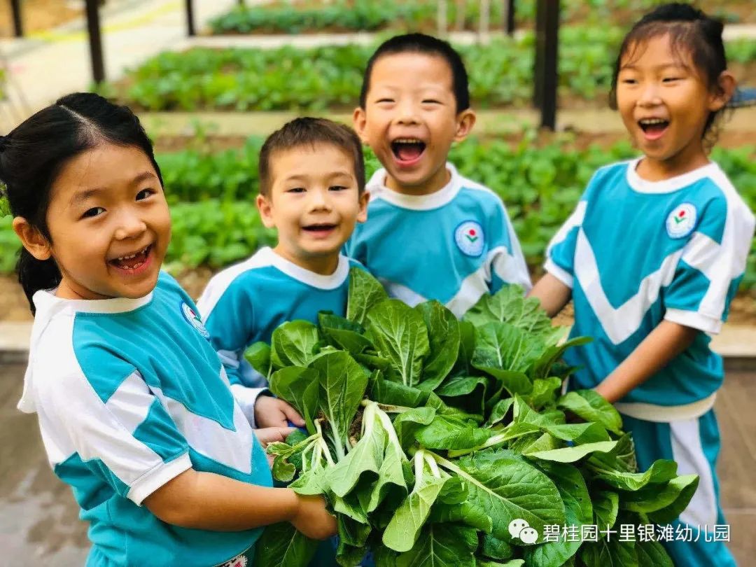 碧桂园十里银滩国际幼儿园·2021年春季招生开始啦！