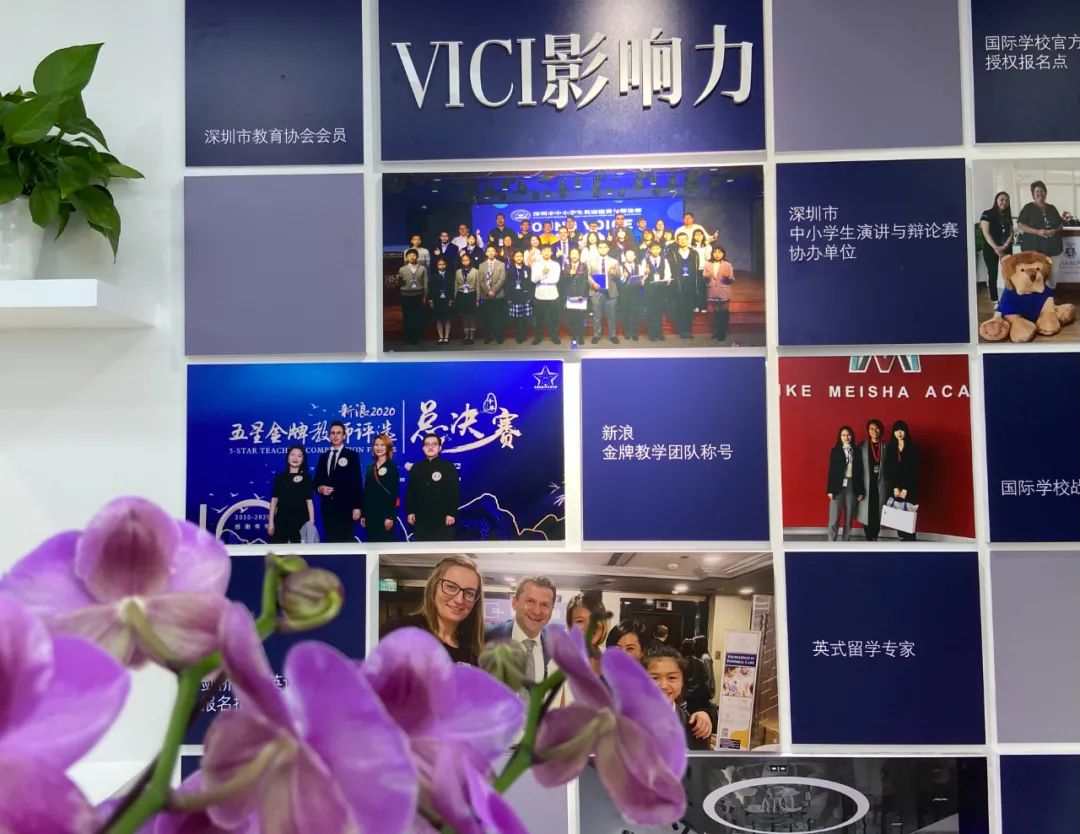 王庆国教授亲临VICI授牌，维途国际成为深圳教育培训协会会员