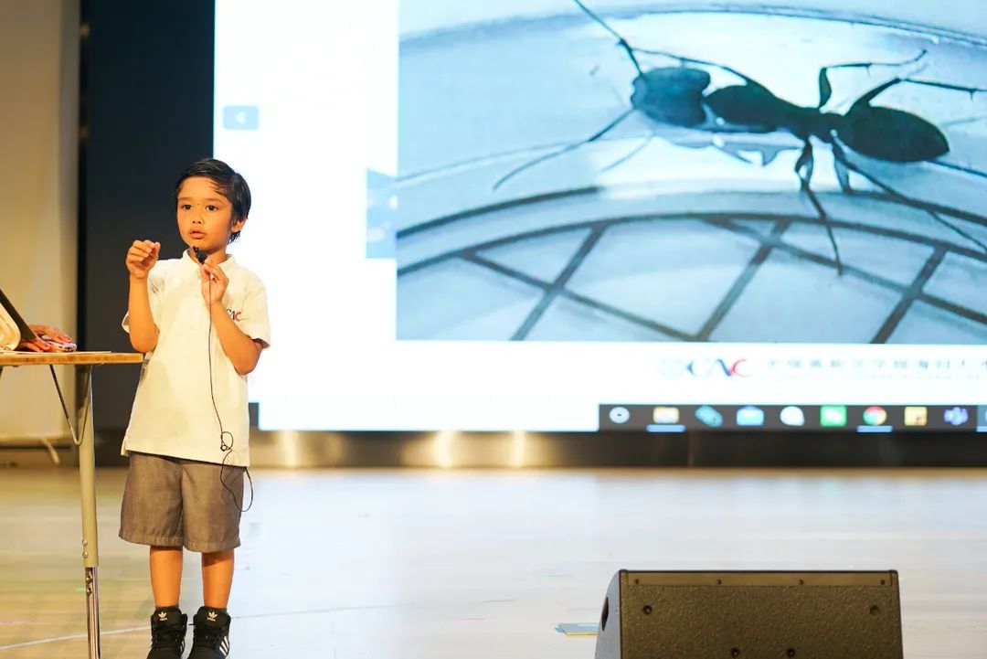 OCAC一年级作品展：孩子们打开世界的另一种方式！