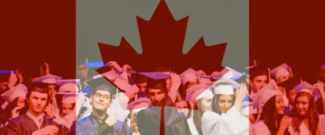 仅30%留学生选择移民加拿大，是不够优秀？还是难度太高？
