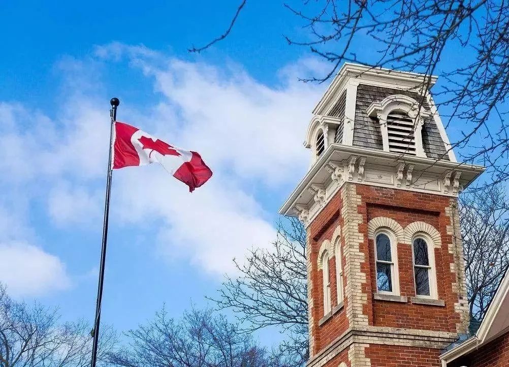 加拿大安省大学狂收22万份留学生申请：多大、约克扩招！五大专业抢手！