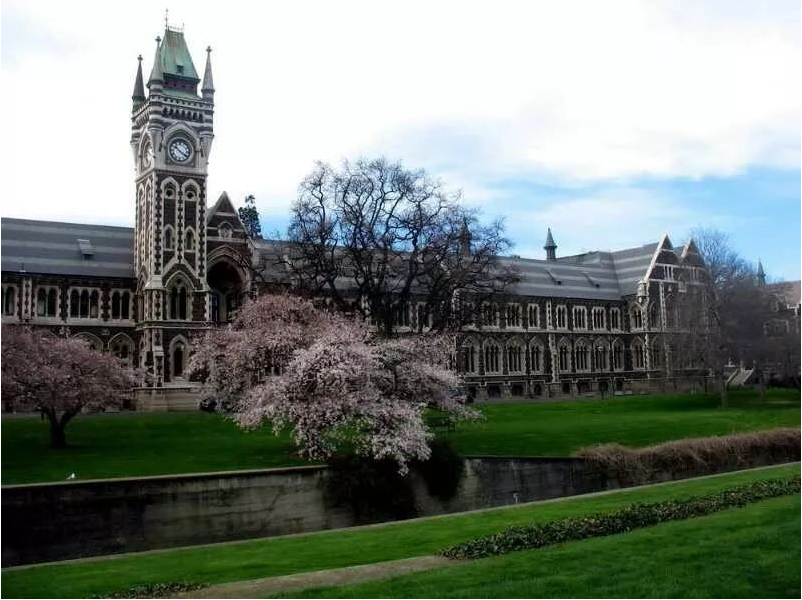 带你全面了解新西兰大学预科，附各大学预科课程！