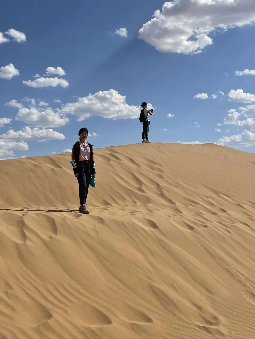 宁夏科考 | 深入沙漠腹地，追忆治沙之路