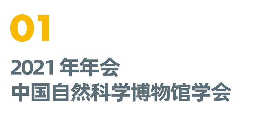 中国自然科学博物馆学会2021年年会
