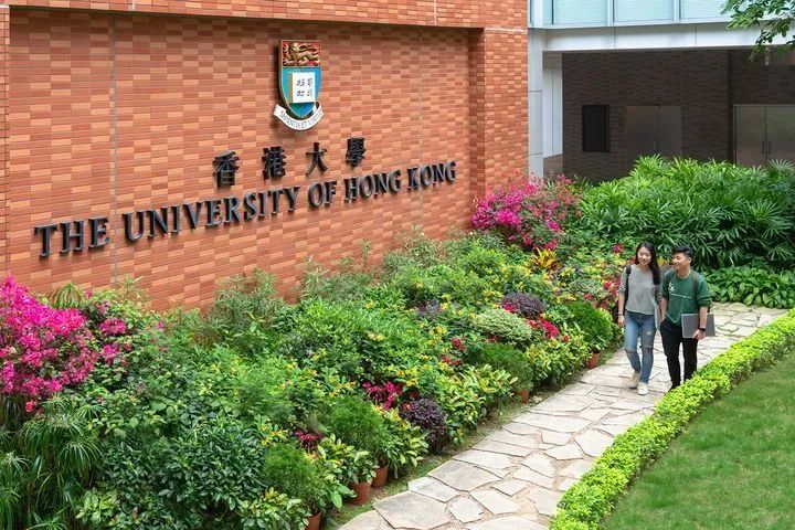 香港大学申请总攻略