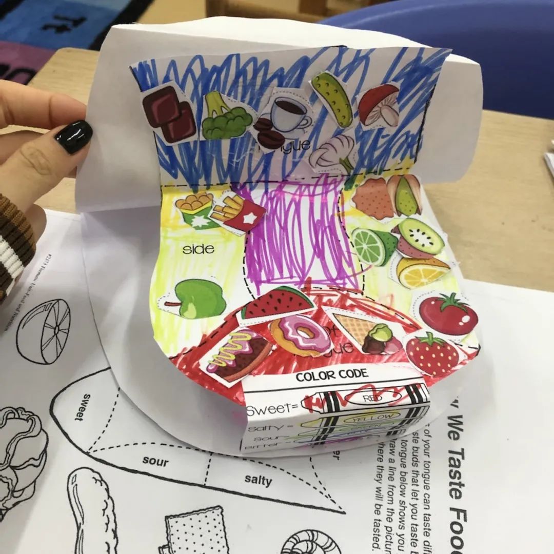 BCIS 课堂 | 味蕾视觉课和造纸艺术