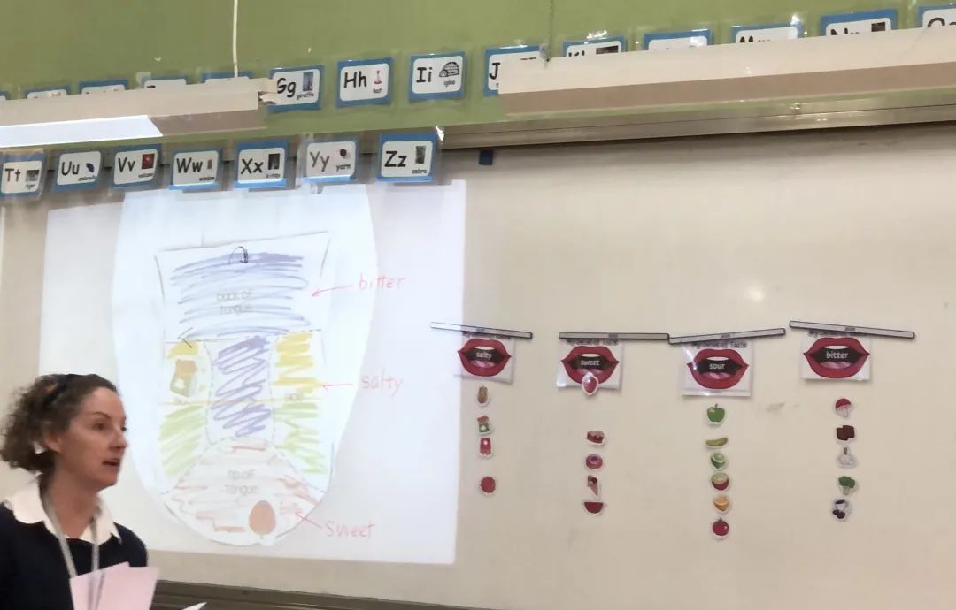 BCIS 课堂 | 味蕾视觉课和造纸艺术