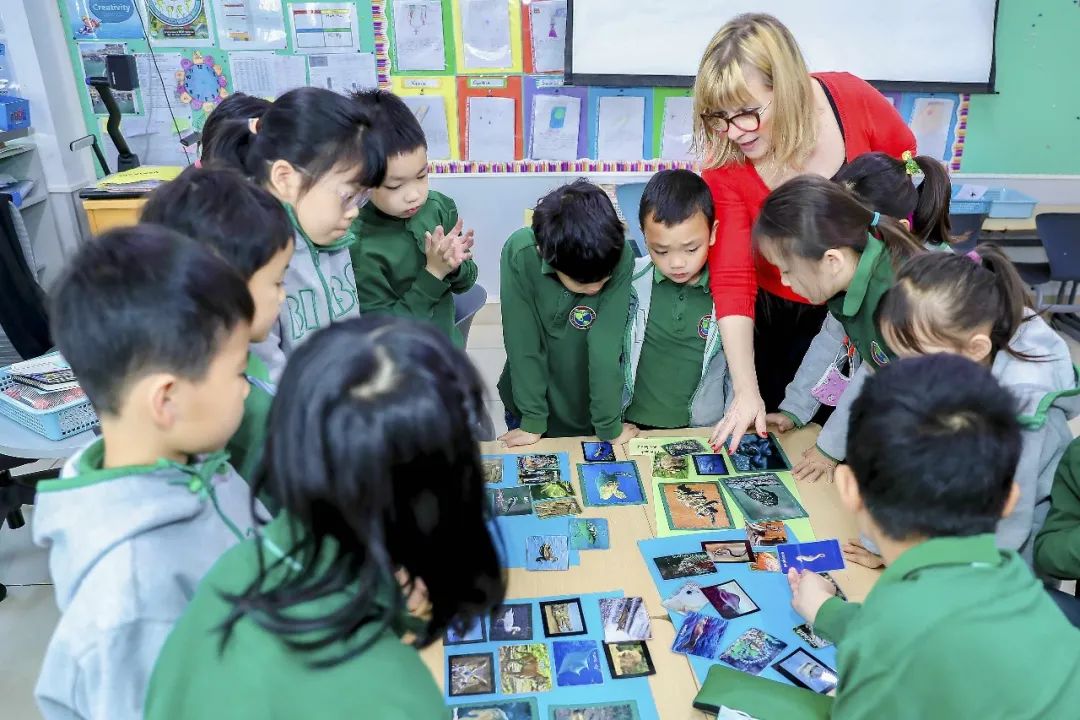 青苗教育集团与胡润研究院 联合发布《2021中国国际教育白皮书》