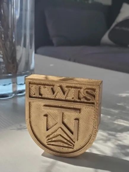 TWIS个人设计项目｜运用3D技术打印商品，科技化我的想象力