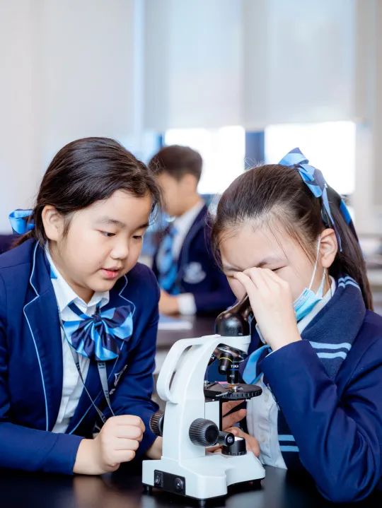 STEM: An Essential Learning Experience 新时代必不可少的学习体验