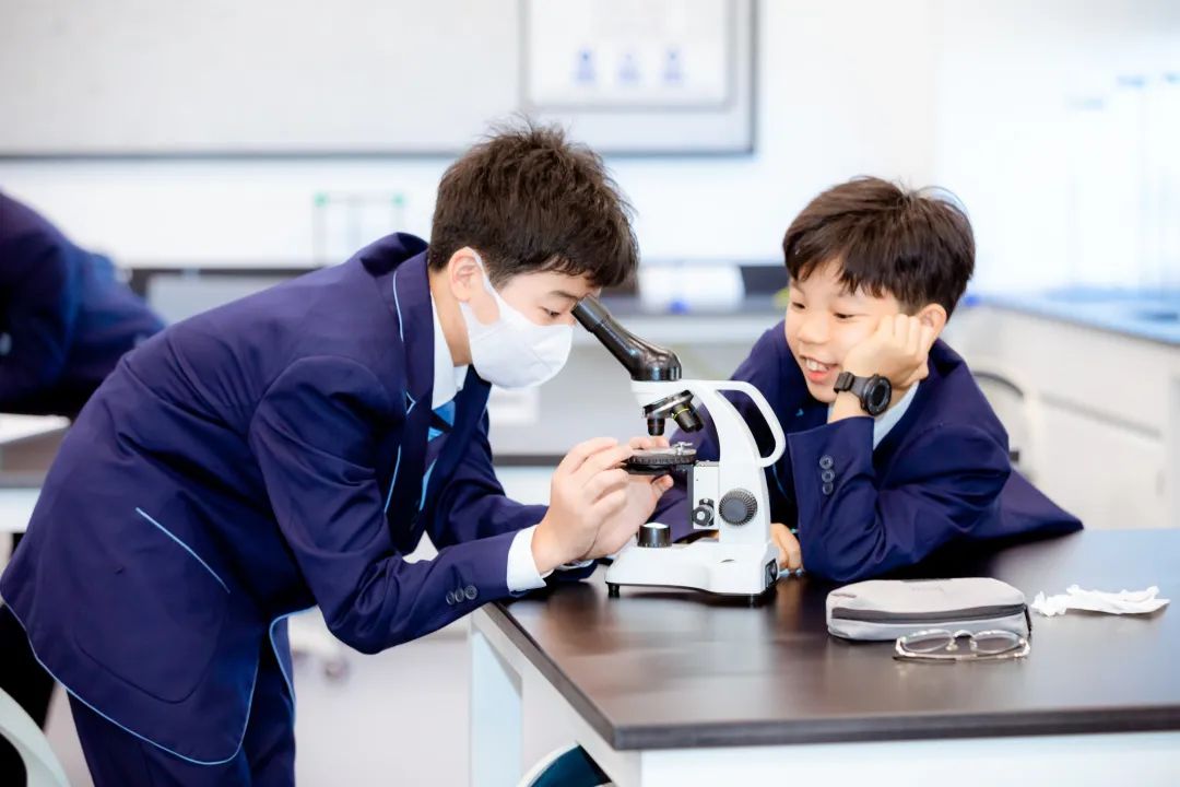 STEM: An Essential Learning Experience 新时代必不可少的学习体验