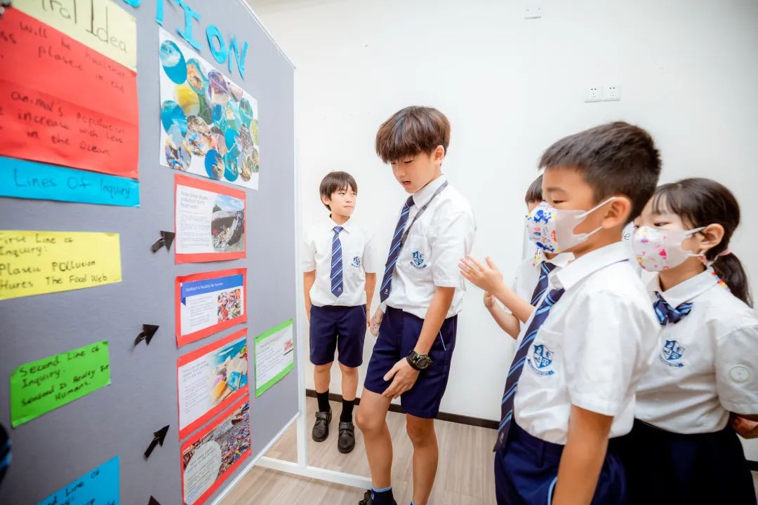 PYP Exhibition 小学毕业展 | 思考、探究如何推动世界可持续发展