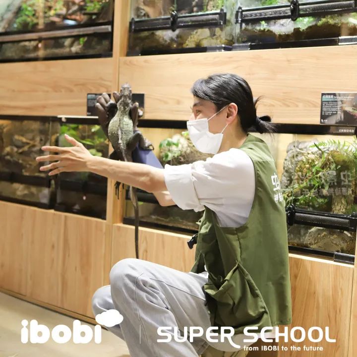 IBOBI SUPER SCHOOL世界通识课堂 | 带领孩子们重新认识万千世界