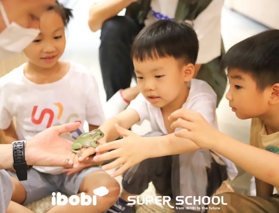 IBOBI SUPER SCHOOL世界通识课堂 | 带领孩子们重新认识万千世界