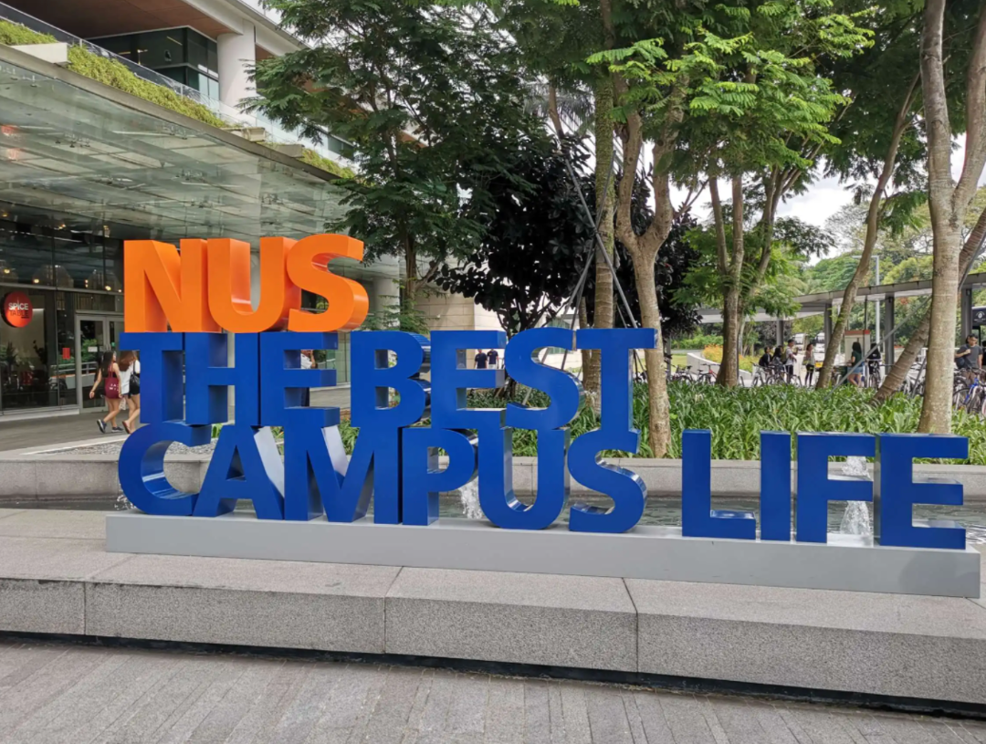 升学喜报｜亚洲TOP1新加坡国立大学，省实A-LEVEL再添顶尖名校录取！