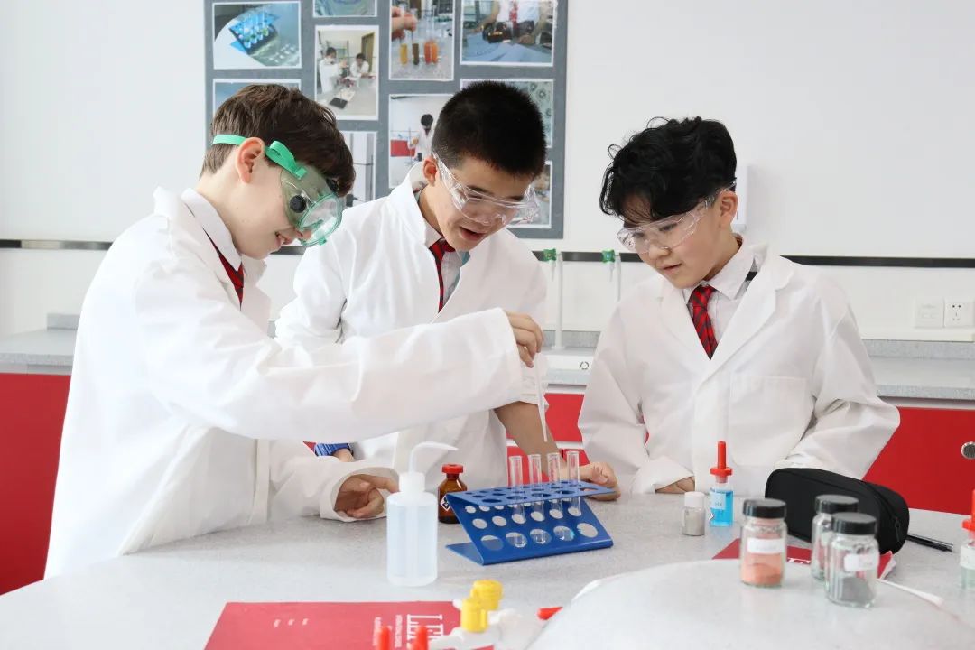 LEH Foshan STEM Year in Review | STEM学科回顾：教育实践中培育未来科学家和发明家