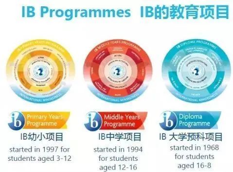 IB国际课程有必要从小学（PYP）开始学习吗?