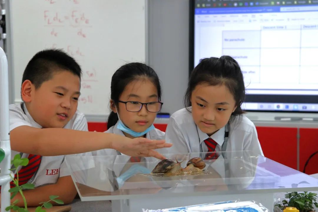 佛山霍利斯正式成立预备部 LEH Foshan Successfully Launches Prep School