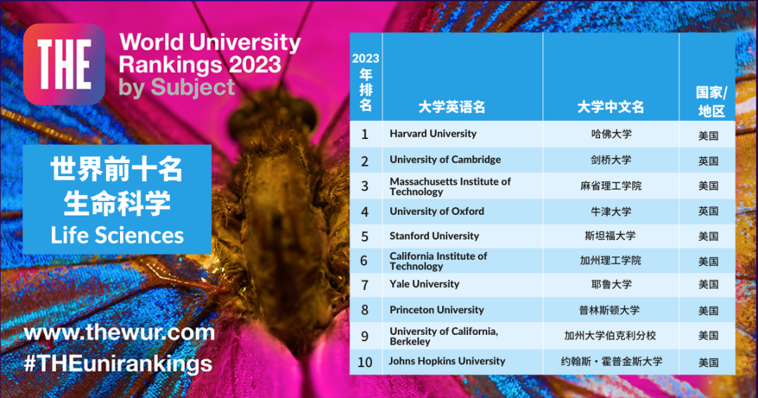 2023泰晤士世界大学学科排名发布！
