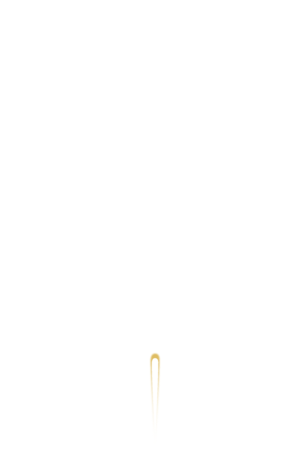 紫荊花開 喜迎國慶——華美香港部首届中華文化藝術節｜Celebrating National Day