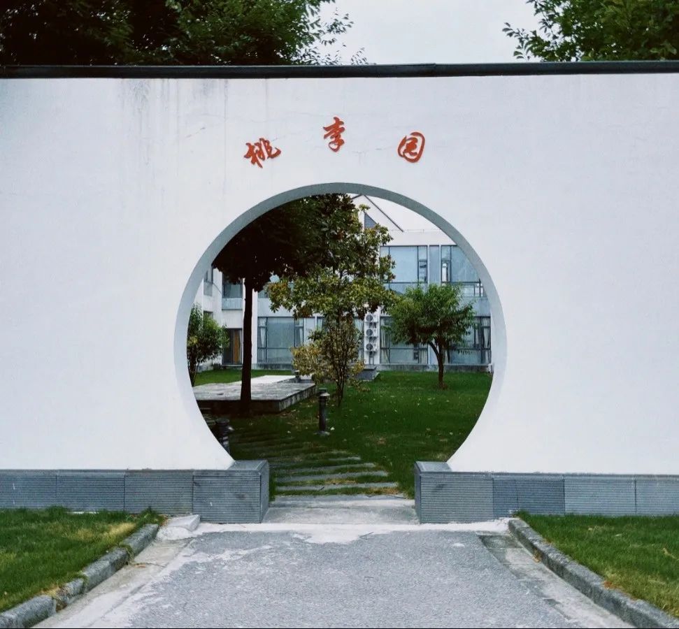 上海美达菲双语高级中学 | 2023年春季招生简章