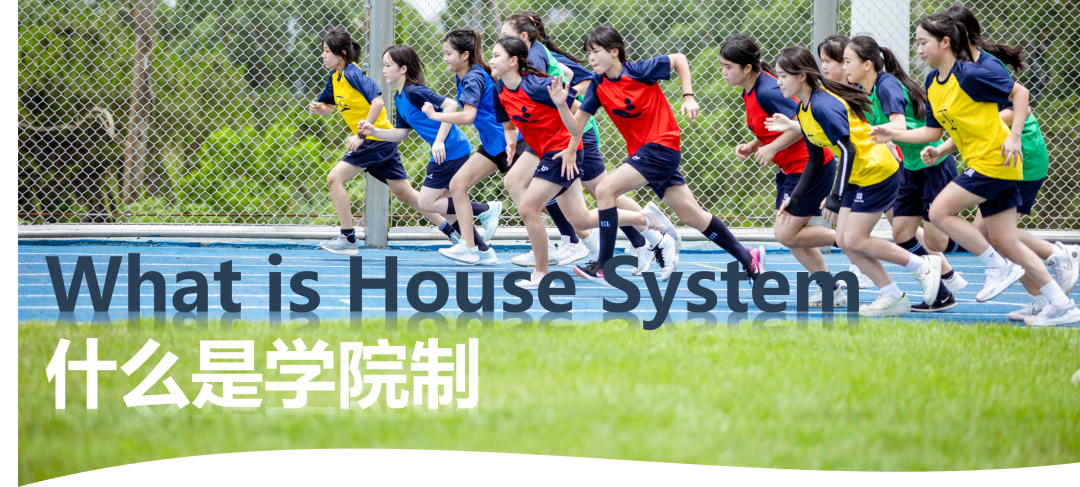 About House System in ISA | 爱莎学院制知多少