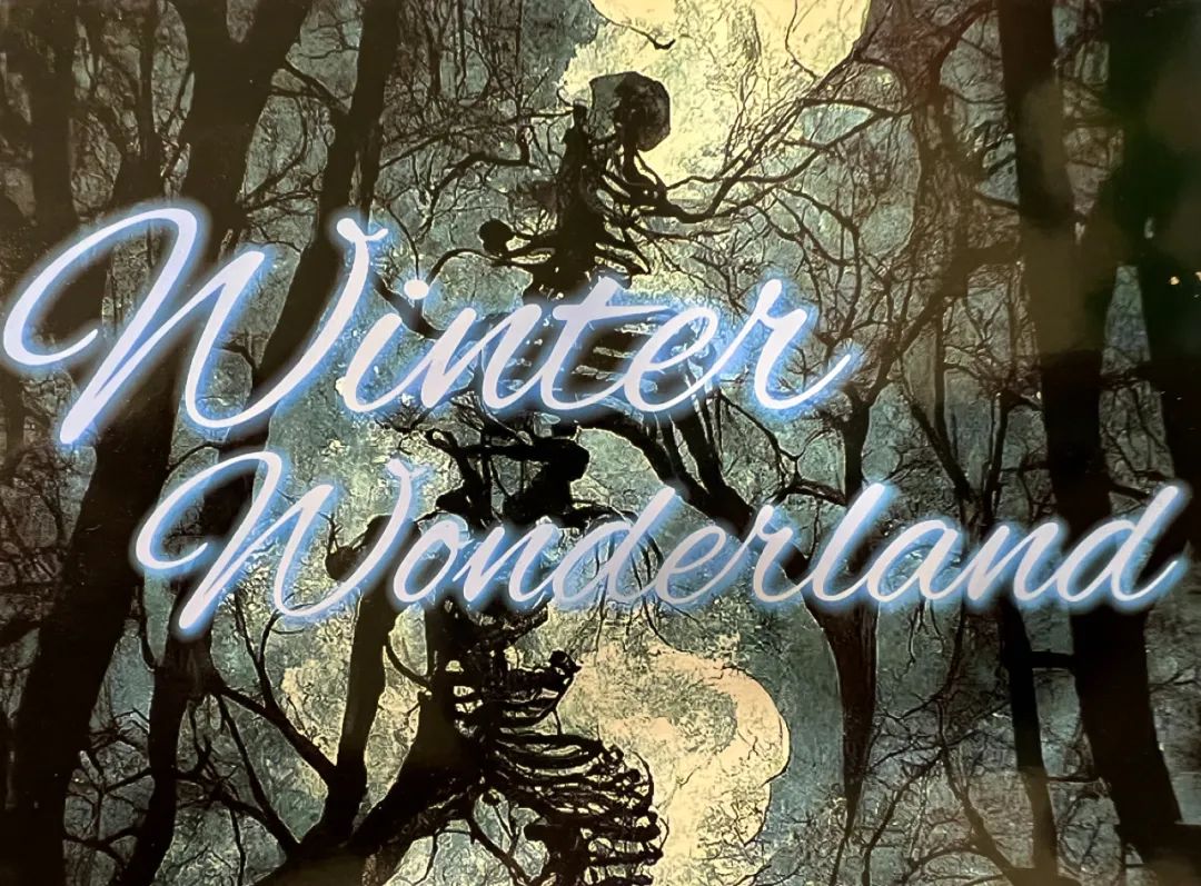 常春藤Winter Wonderland，奇幻冒险之夜