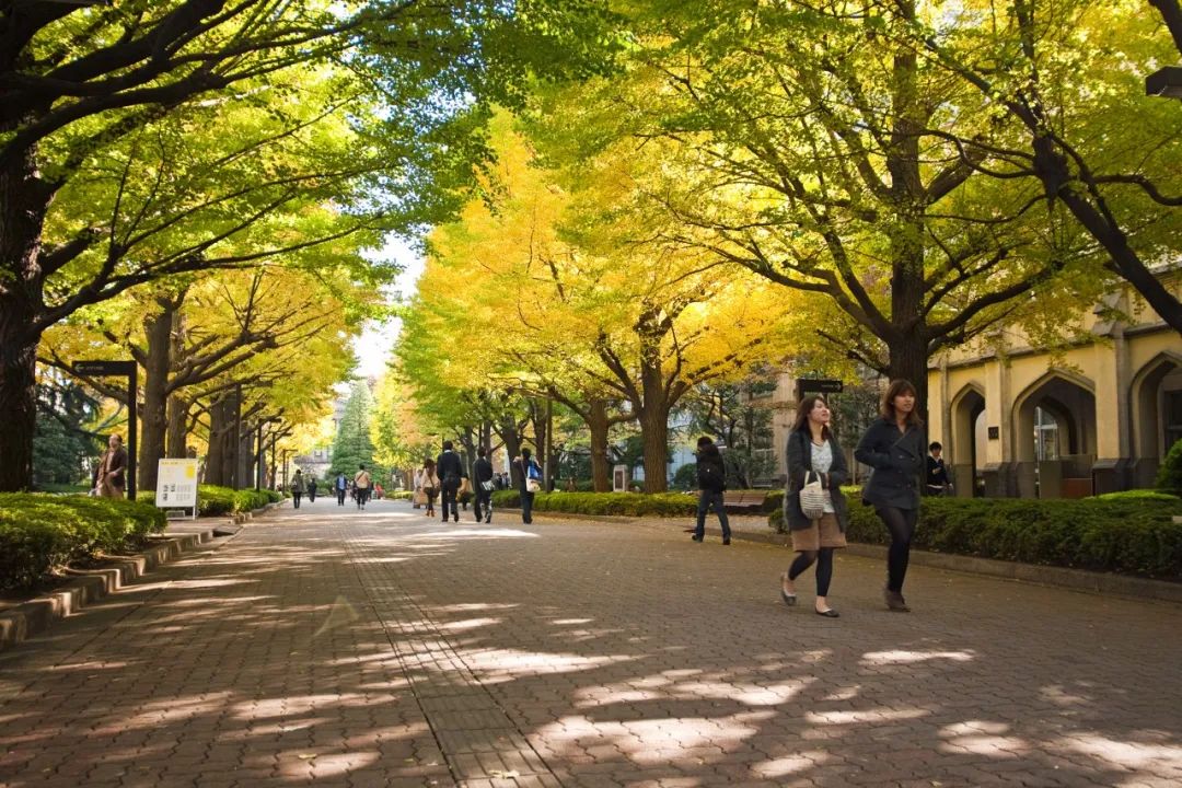 【留学资讯】日本的大学中，哪些大学最受欢迎？