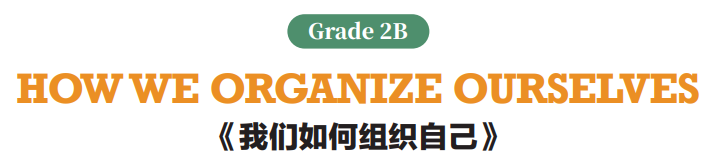 【Featured Class 闪光课堂】线上学习精彩依旧Remote Learning at Sias IS（Grade2）