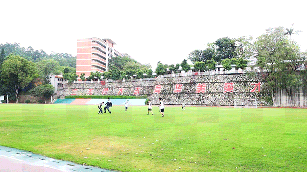 广东唯一！华美学校成为广东省教育厅2022年校园篮球、排球、游泳推广学校