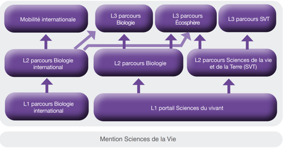 法国公立大学生物科学 | 优势院校推荐&专业细分解析