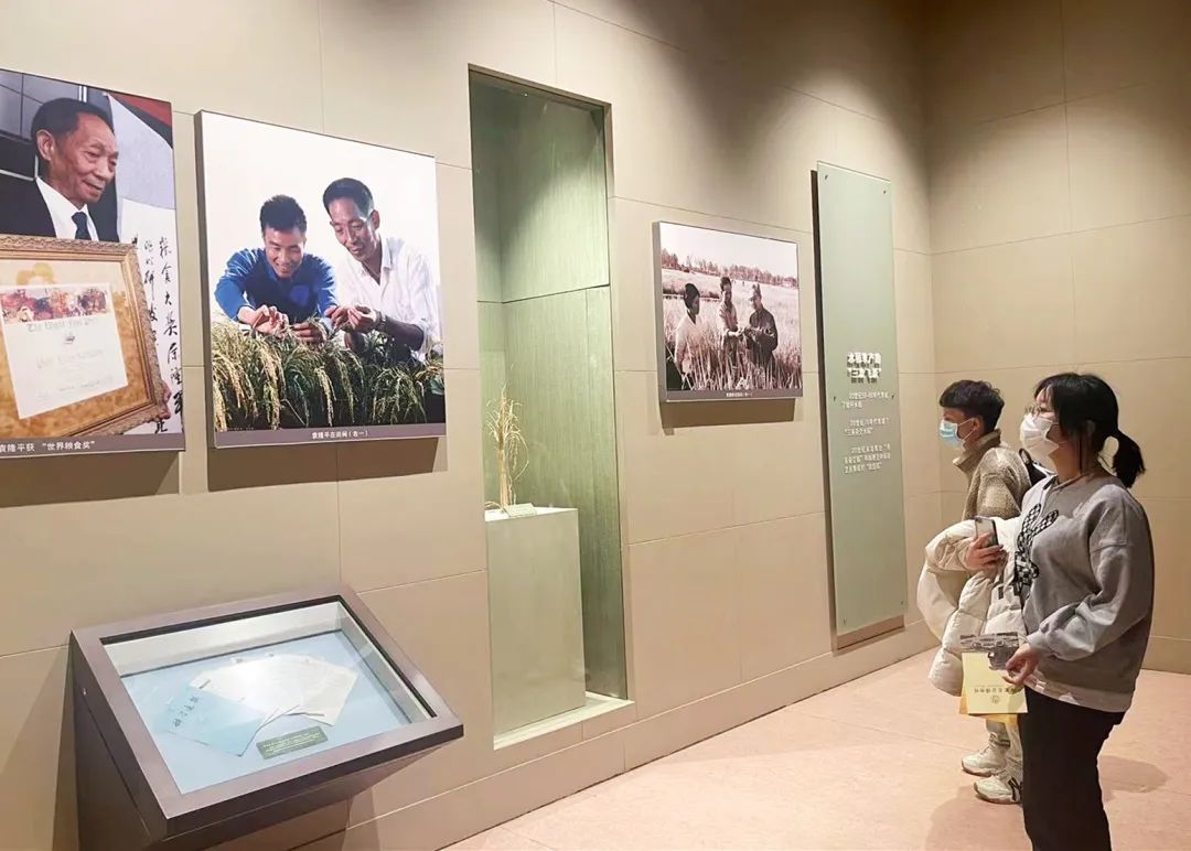 周末实践 | 参观全国农业展览馆，了解中国农业的“那些事儿”