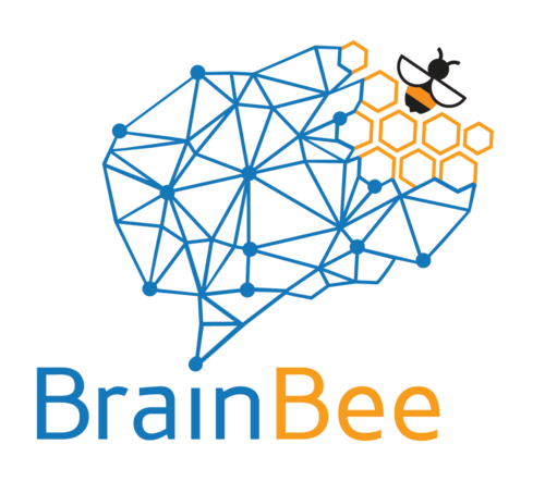 喜报｜IHS高中学子Chloe获得Brain Bee脑科学大赛福建地区一等奖！