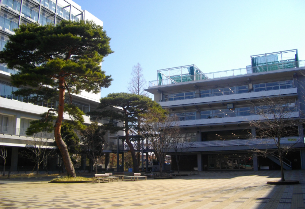 名校丨《东京爱情故事》的女主角和导演居然都毕业于这所私立学校