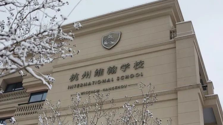 杭州的国际学校2023届录取数据如何呢？!这篇带你一睹六校最新录取风采~