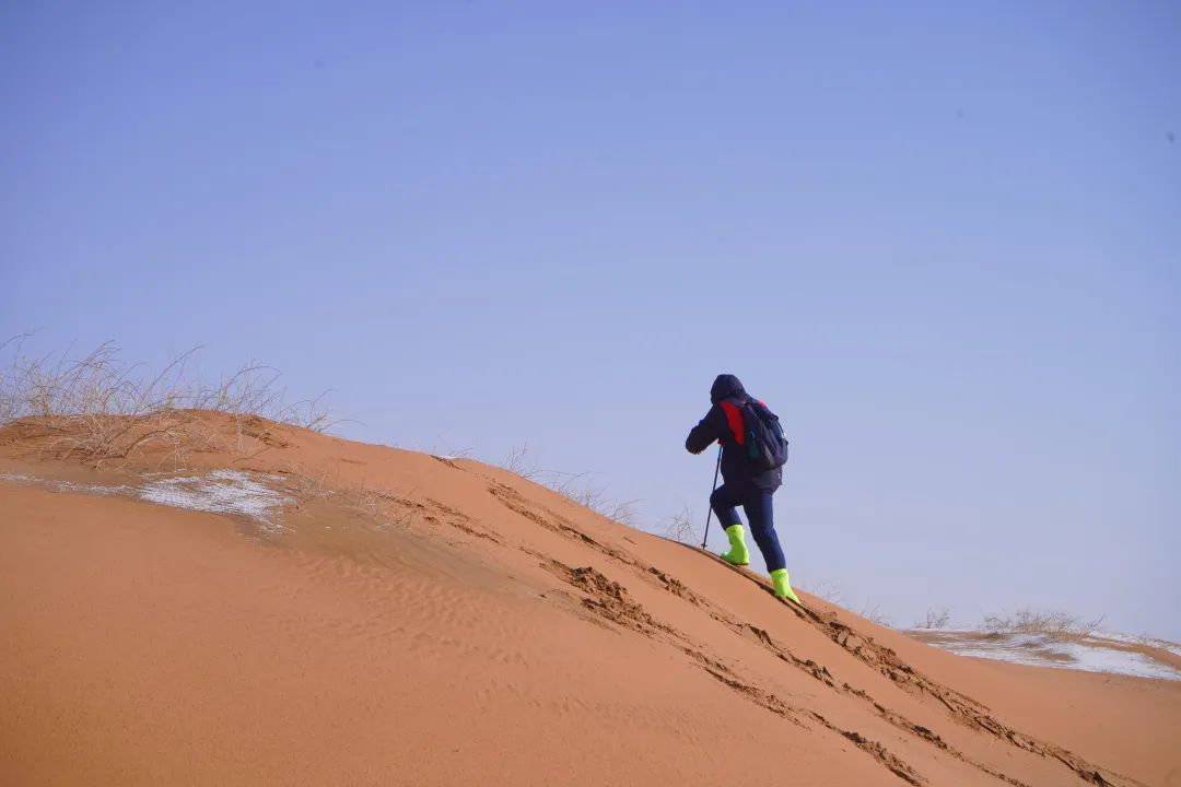 明日青年｜陆志乾：穿梭在沙粒中的历练和成长 - “富饶之城·阿拉善”