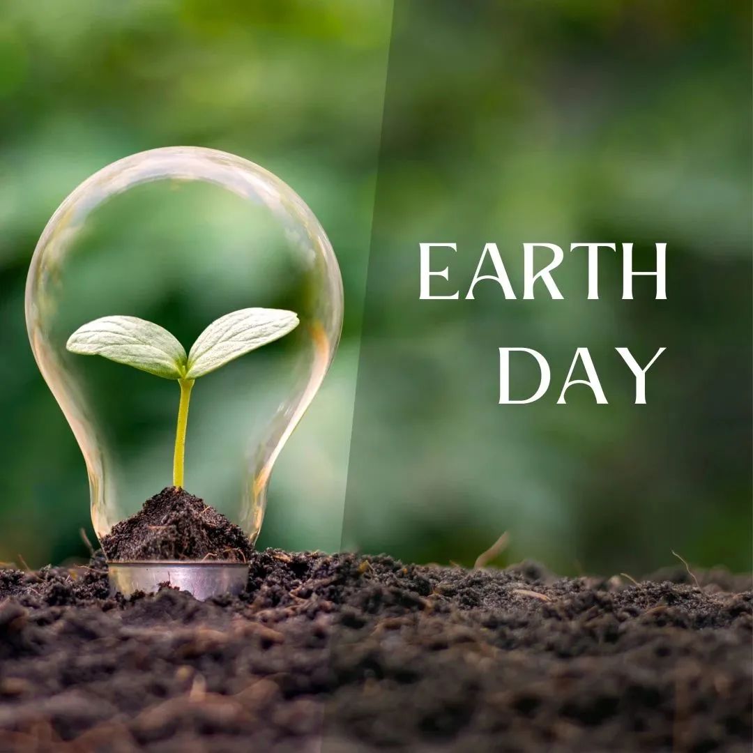 Because every day is Earth Day at WCIH | 保护地球，惠灵顿学子在行动