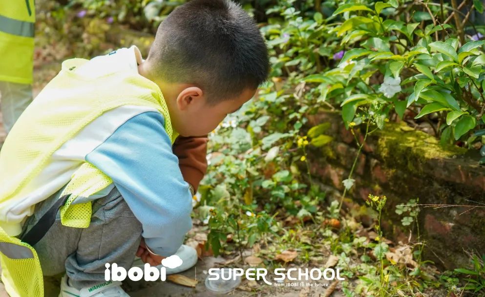 教室之外，孩子们用100种方式探究春天 | IBOBI SUPER SCHOOL 春季PBL项目式学习