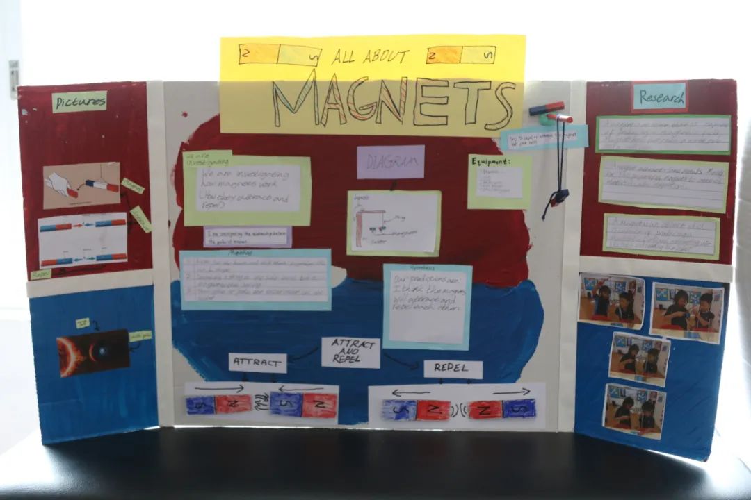 Year 2 Science Fair 二年级创新的科学展 | 探究磁力与磁铁