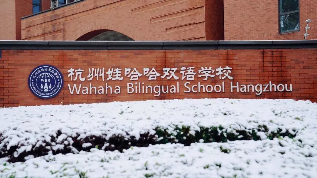哇哦~这些杭州国际学校的奖学金政策也太吸引人叭！果真豪气~