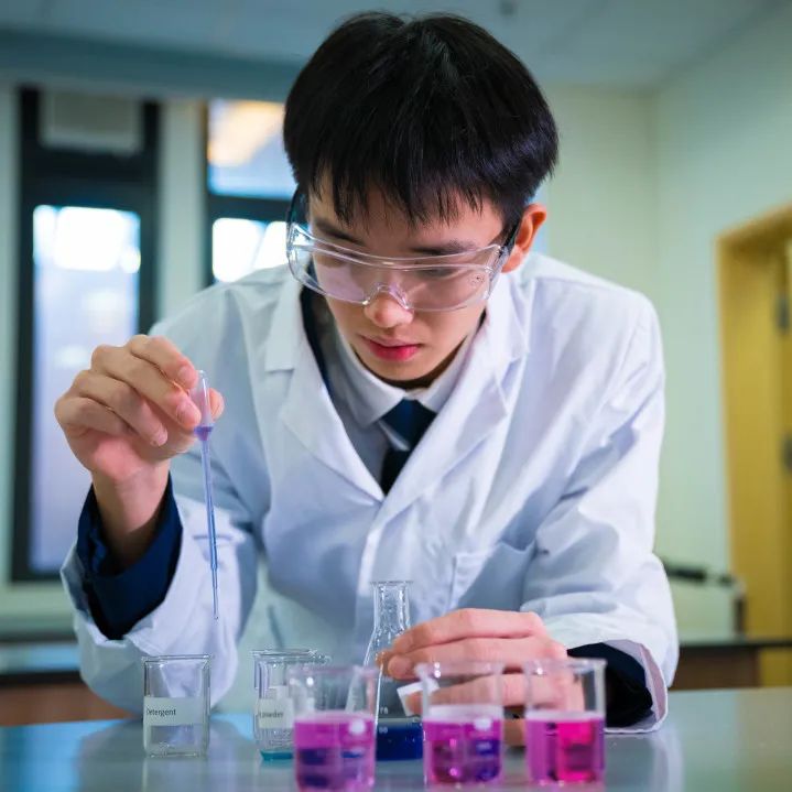 全国前十！哈罗深圳在福布斯中国国际化学校年度评选中连续三年名列前茅
