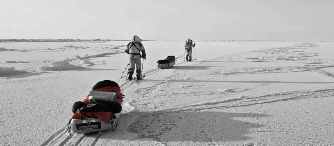哈罗校友|第一个徒步穿越北极的“环境英雄”