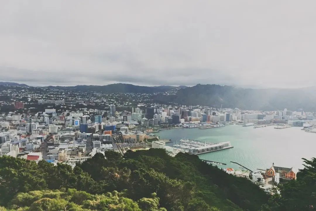 文化交流｜新西兰2024寒假交流项目，预定留学之旅！